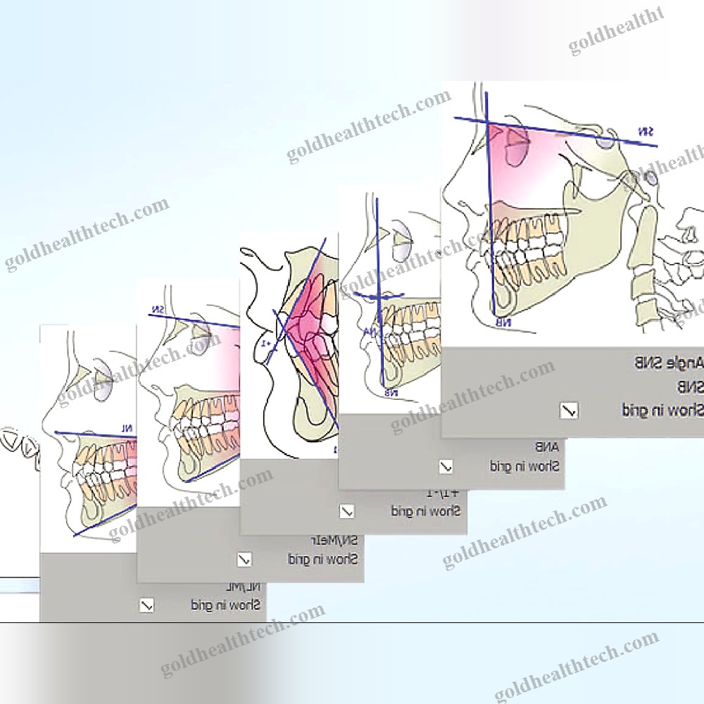 Medical Software