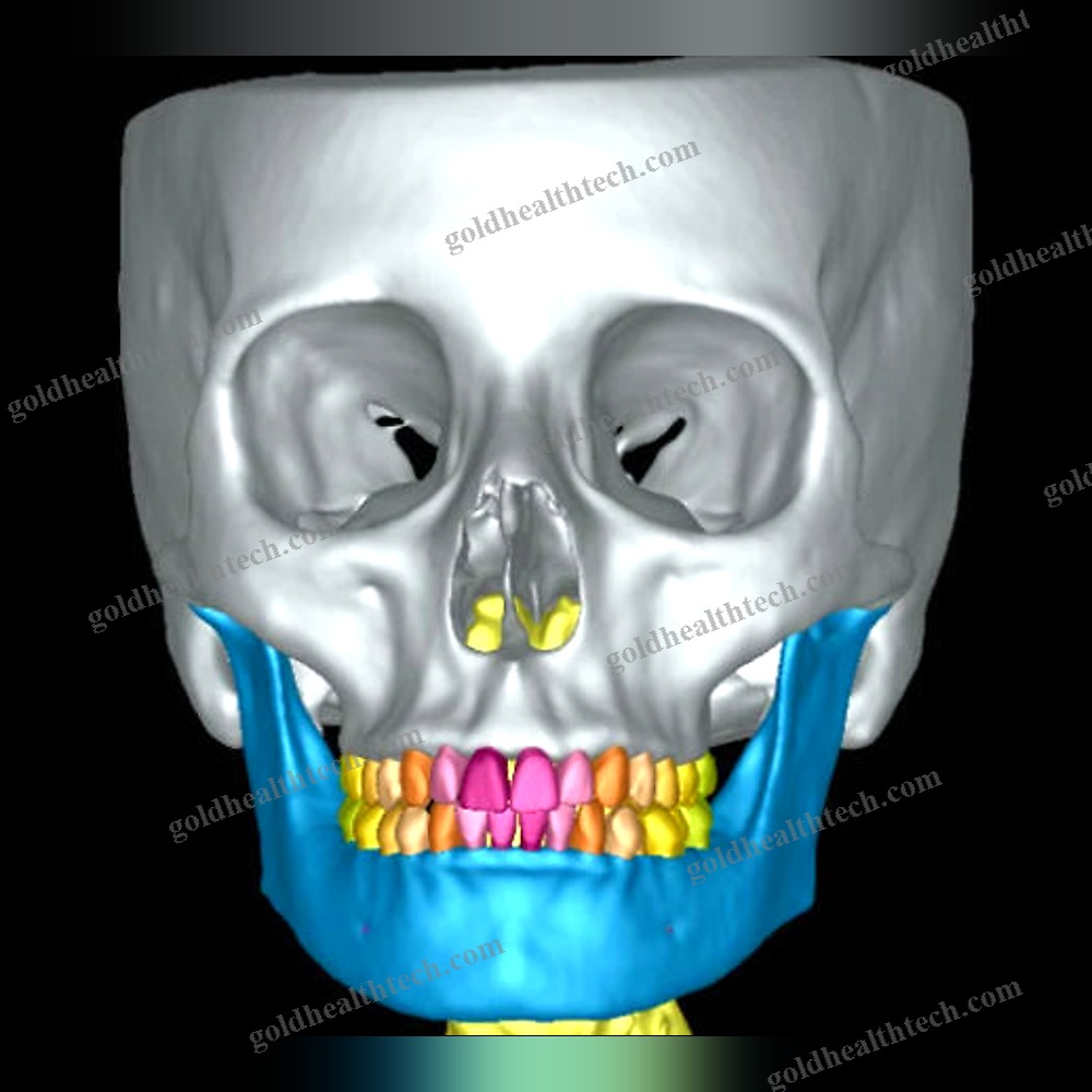 Medical Software