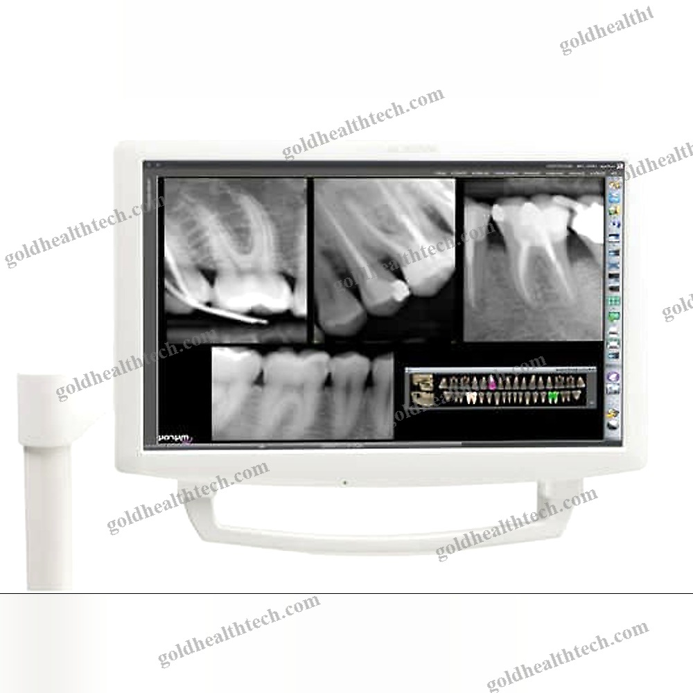 Dental Display