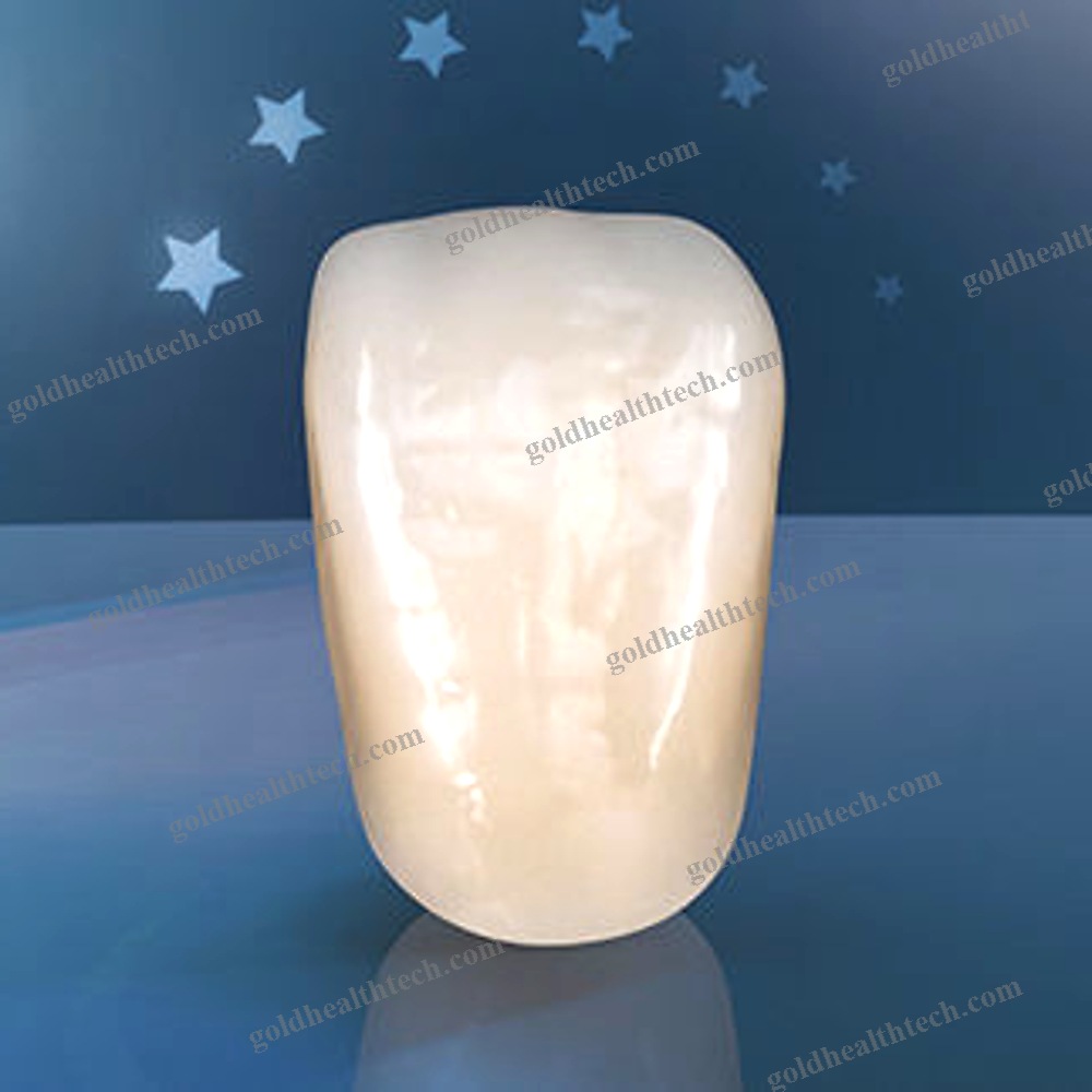 Composite Dental Prosthesis