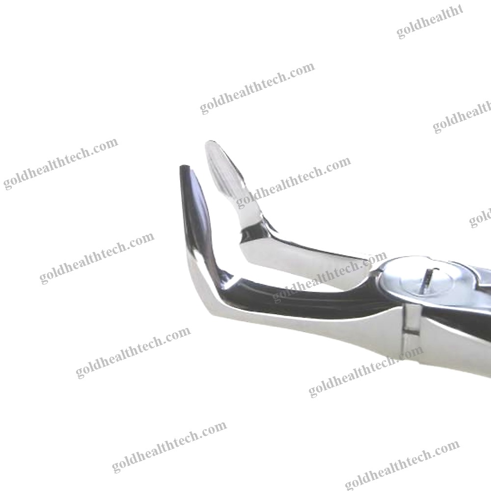 Wisdom Teeth Extraction Forceps