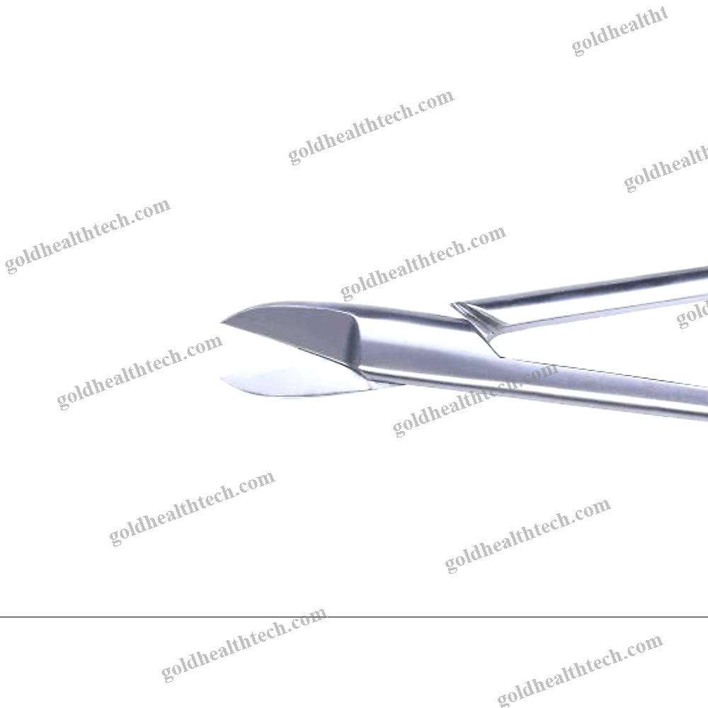 Dental Scissors