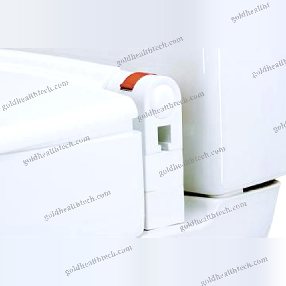 Raised Toilet Seat With Armrests