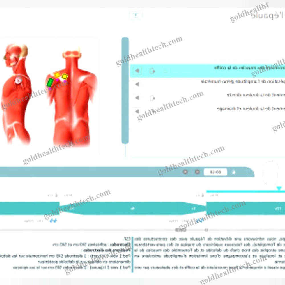 Pelvic Floor Stimulator