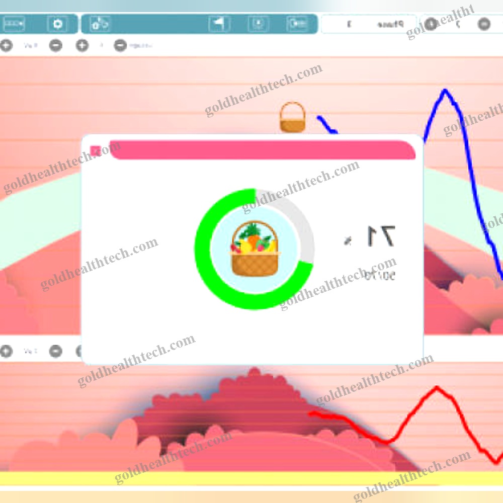 Pelvic Floor Stimulator