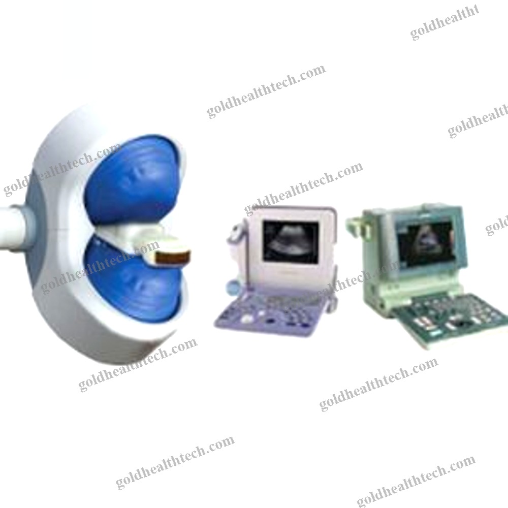 Extracorporeal Lithotripter