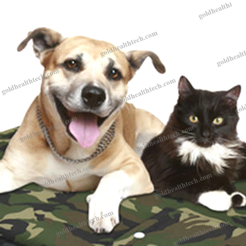 Veterinary Magnetic Therapy Unit