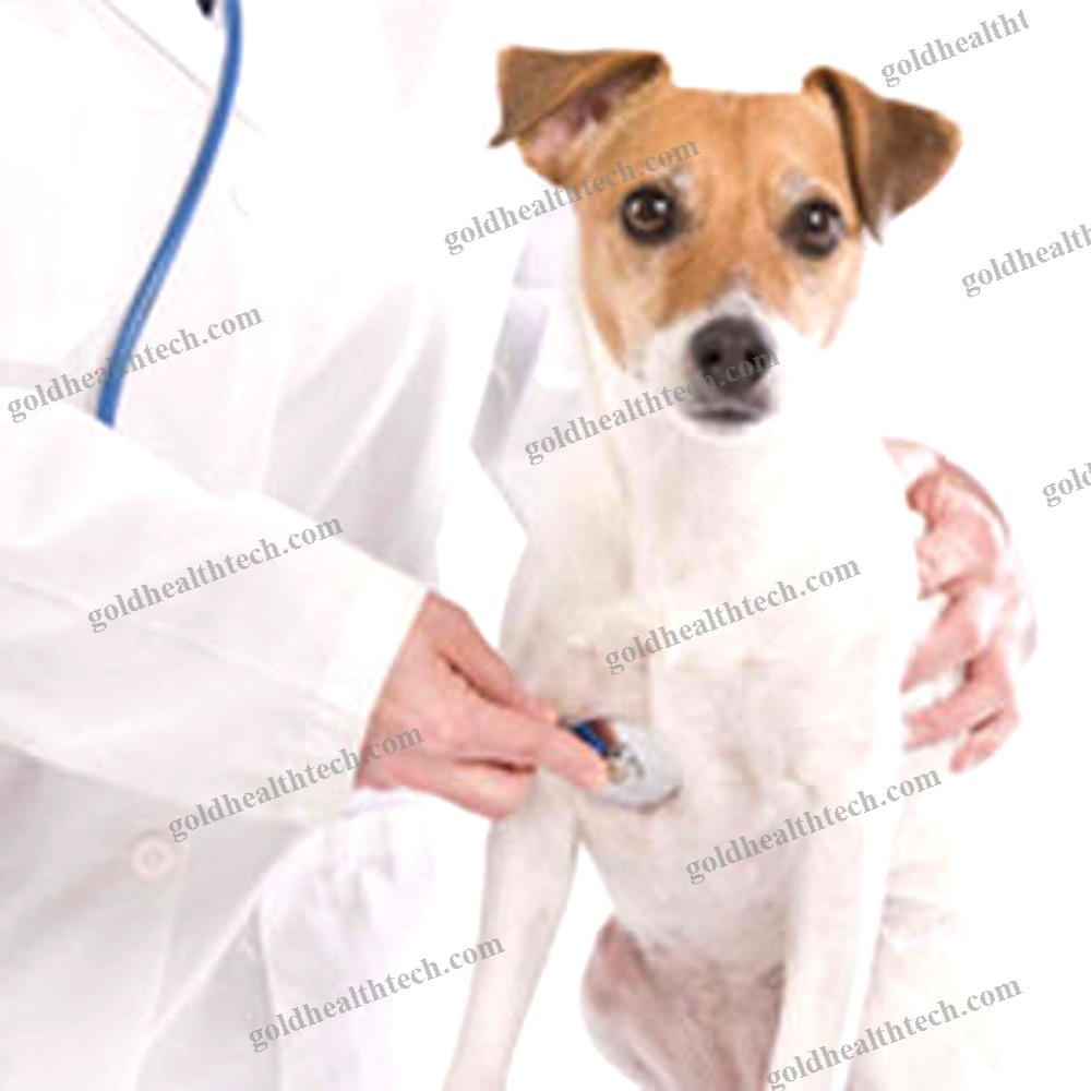 Veterinary Magnetic Therapy Unit