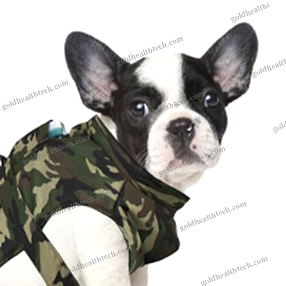 Veterinary Magnetic Therapy Unit