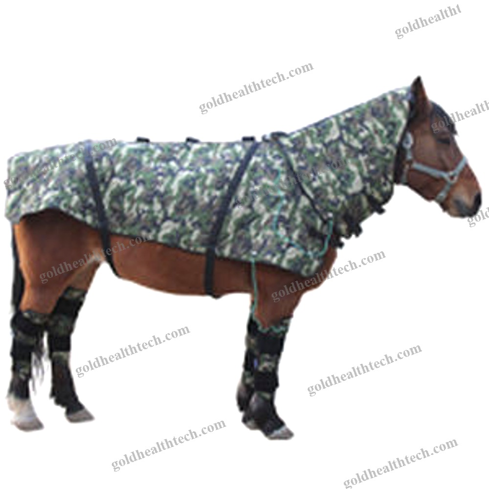 Veterinary Magnetic Therapy Unit