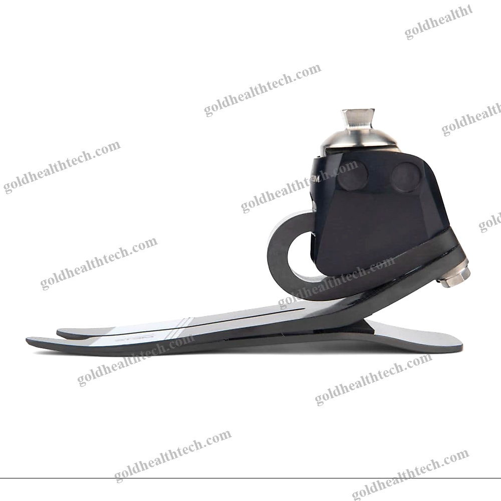 Dynamic Prosthetic Foot