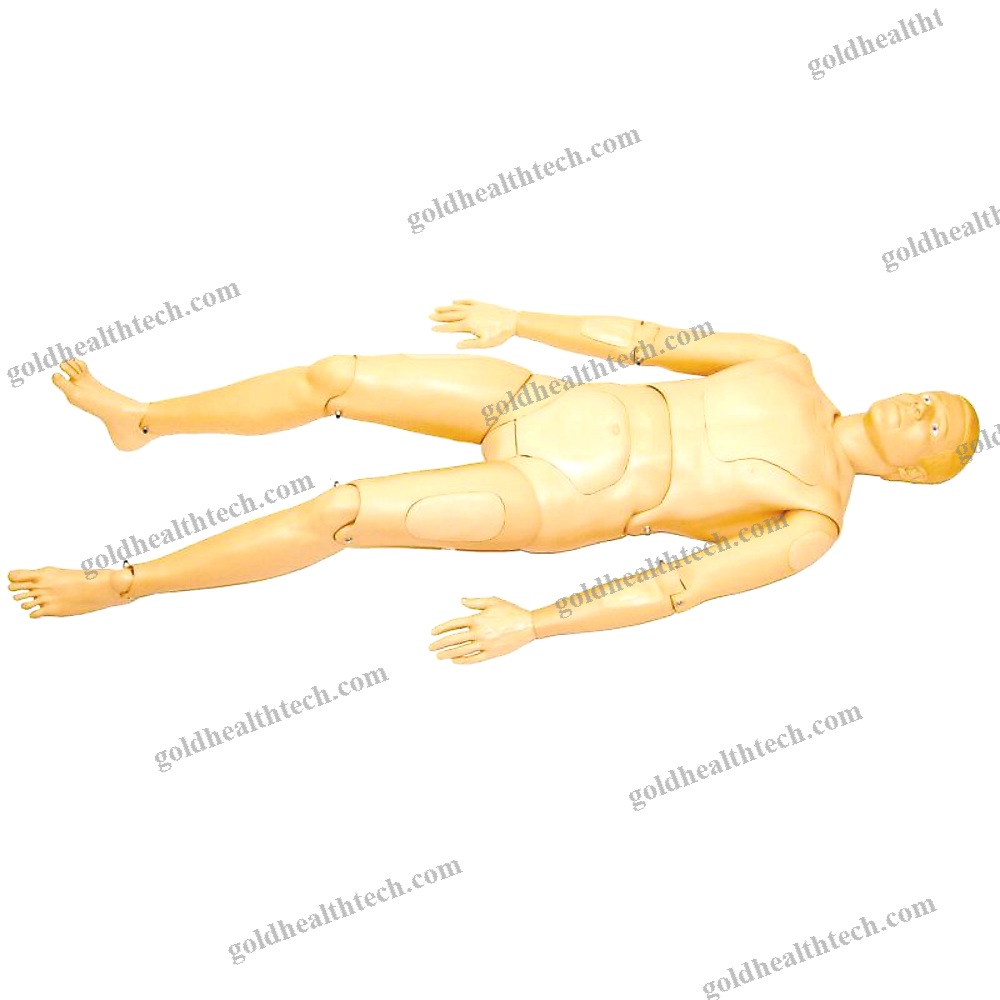First Aid Patient Simulator
