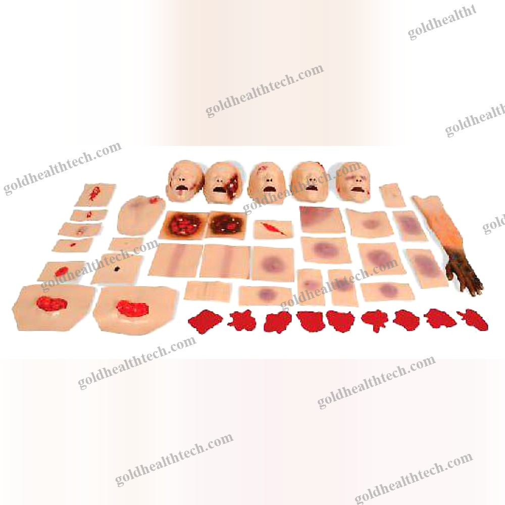 First Aid Patient Simulator