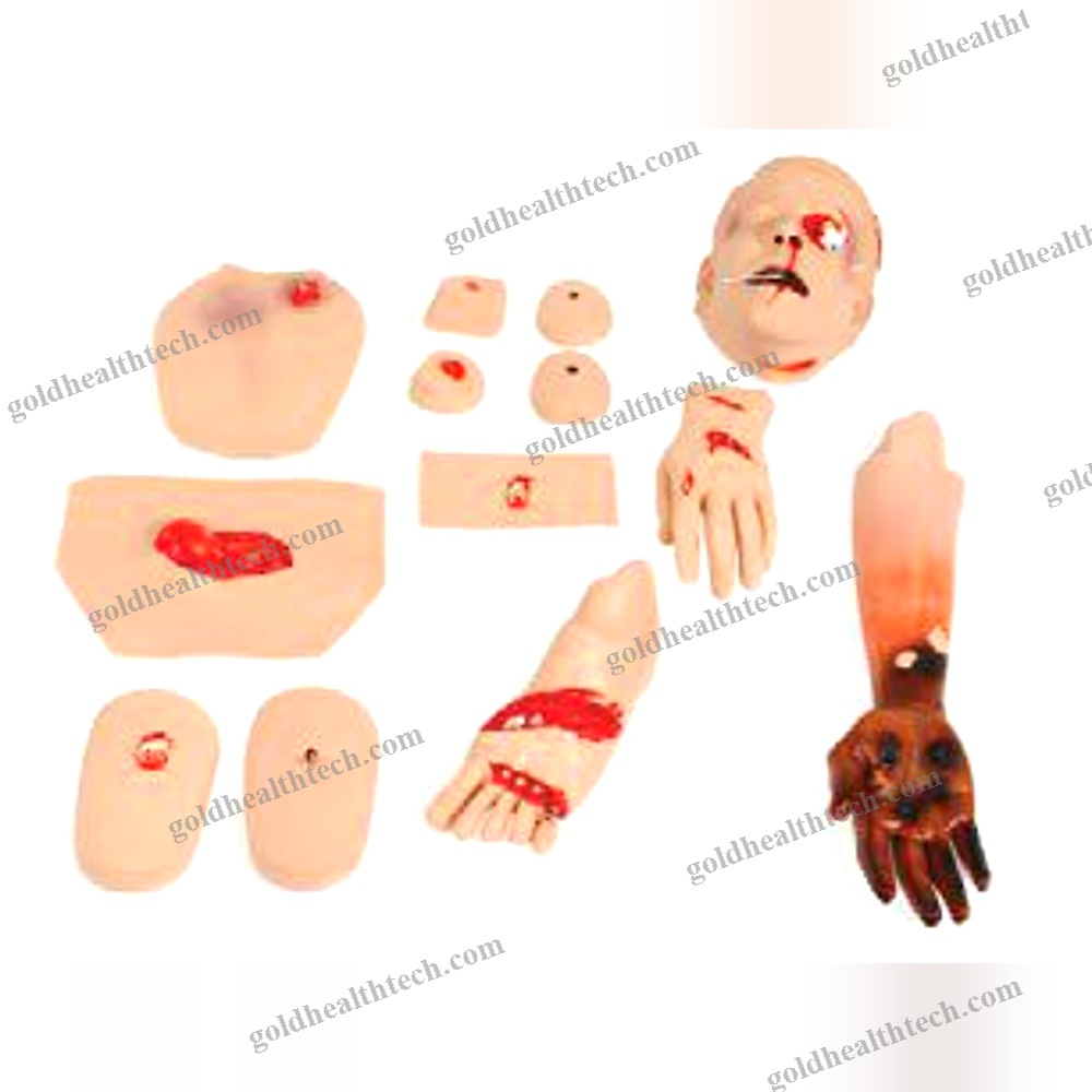 First Aid Patient Simulator