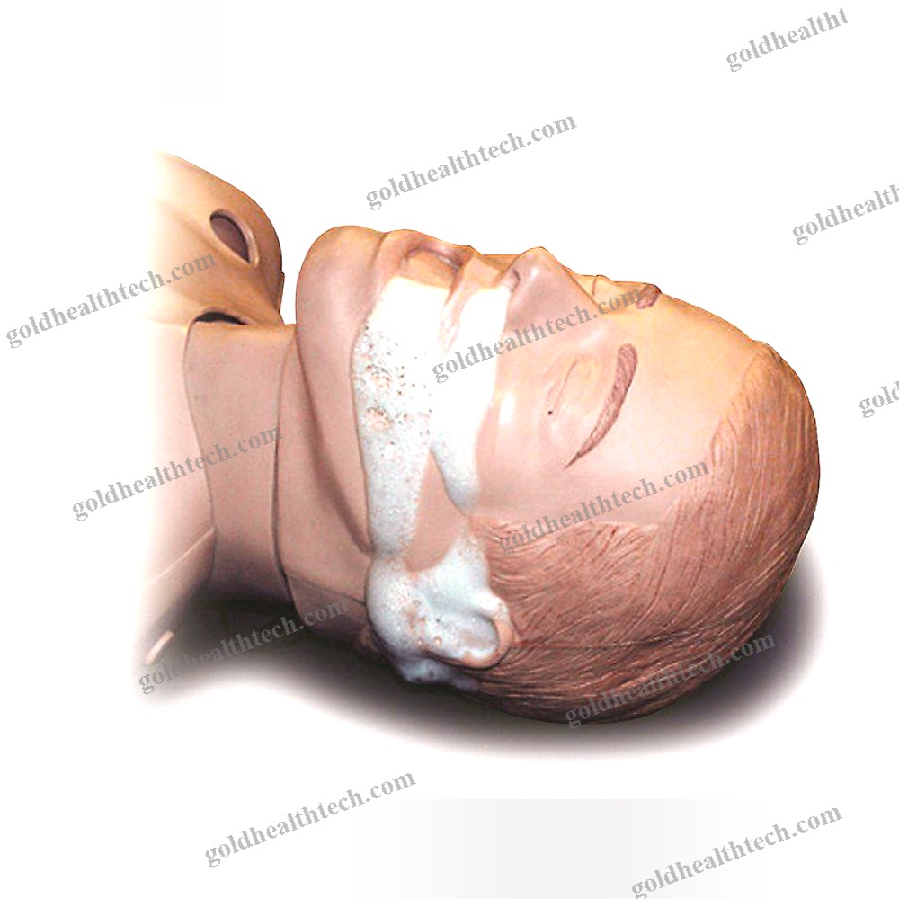 First Aid Patient Simulator