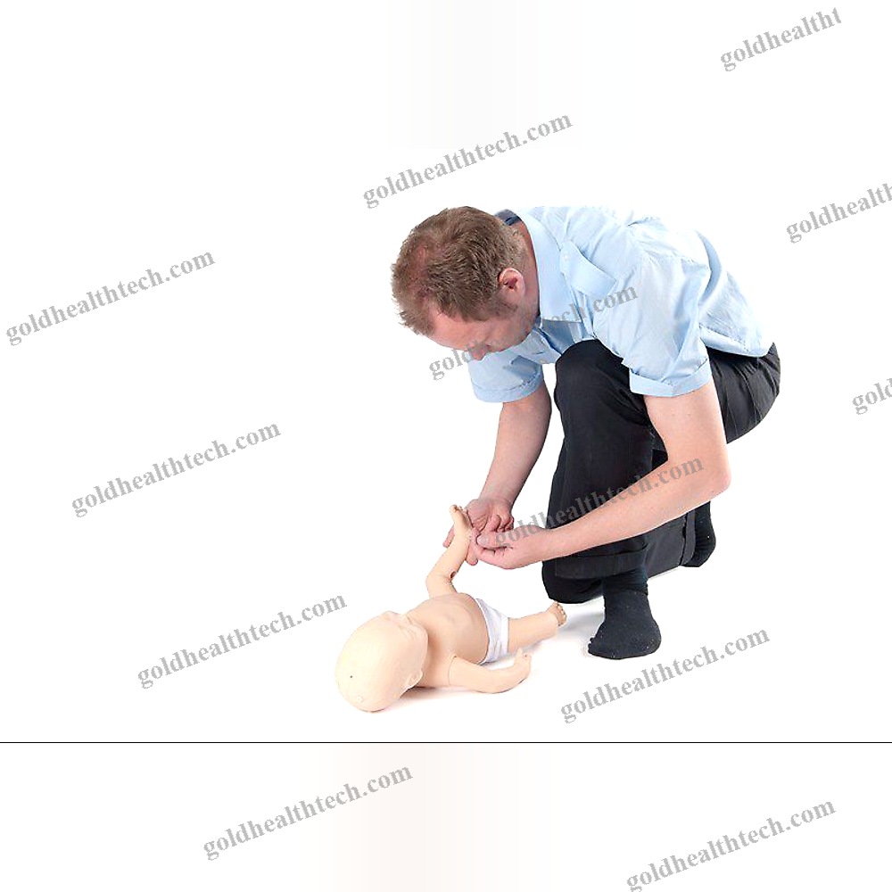 Training Simulator