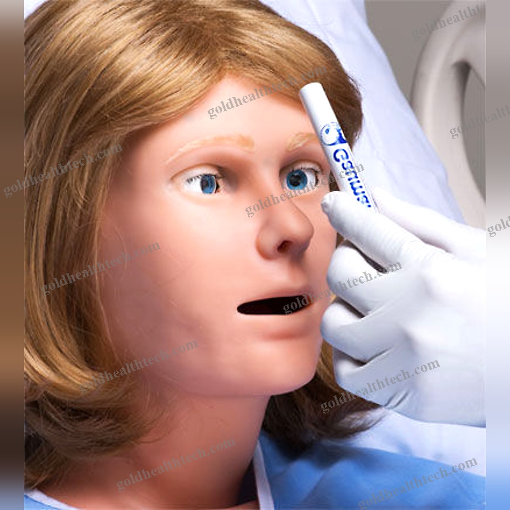 Childbirth Demonstration Simulator