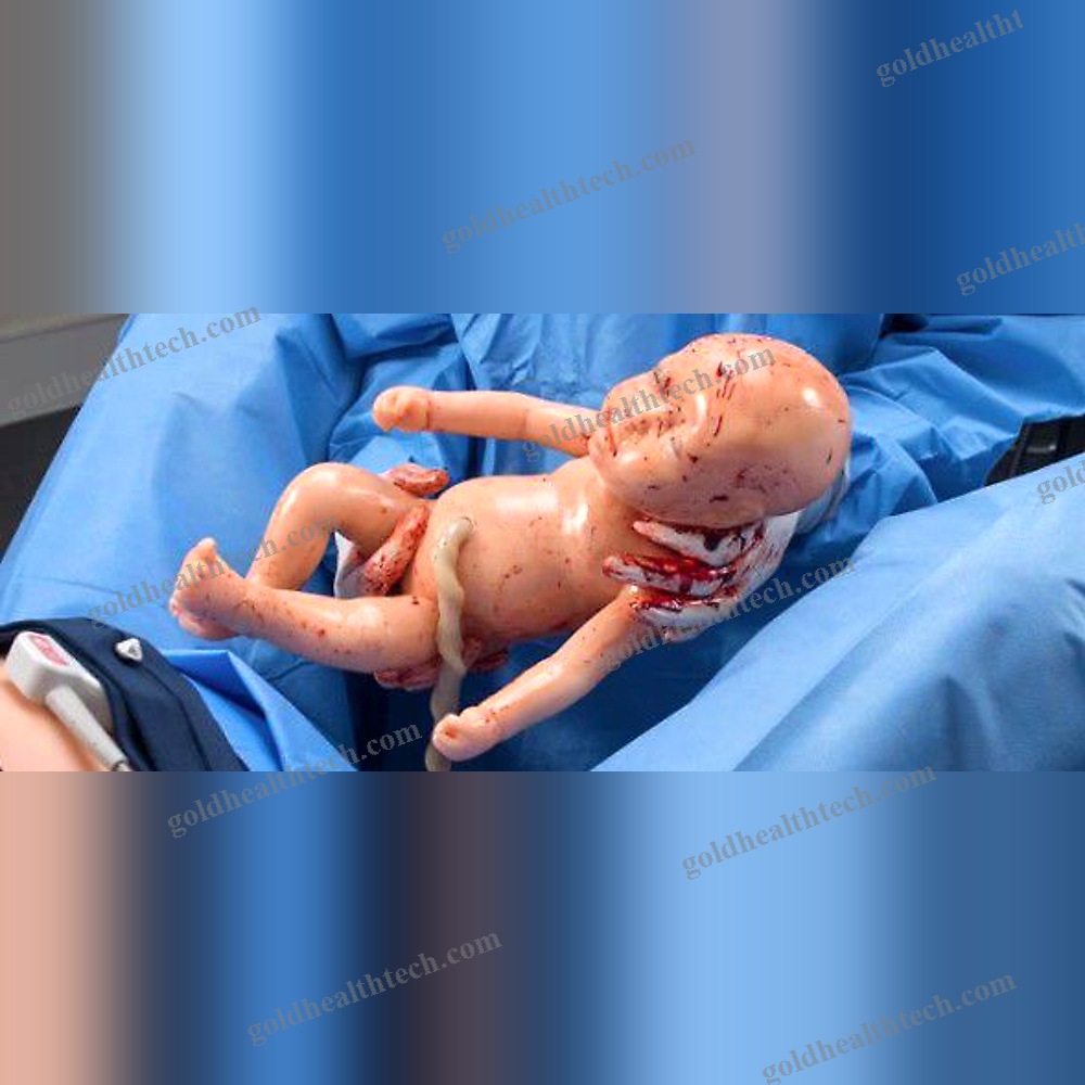 Childbirth Demonstration Simulator