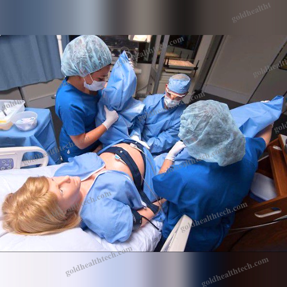 Childbirth Demonstration Simulator
