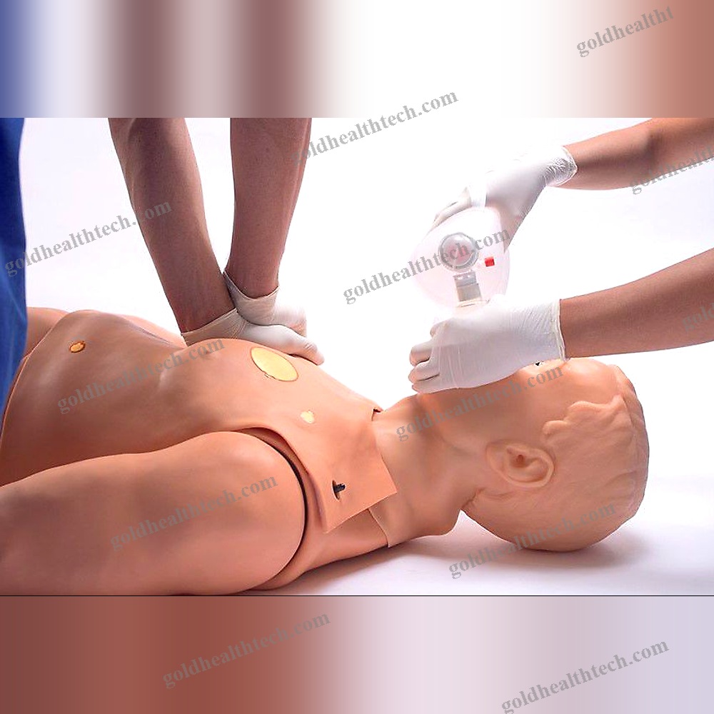 Training Simulator