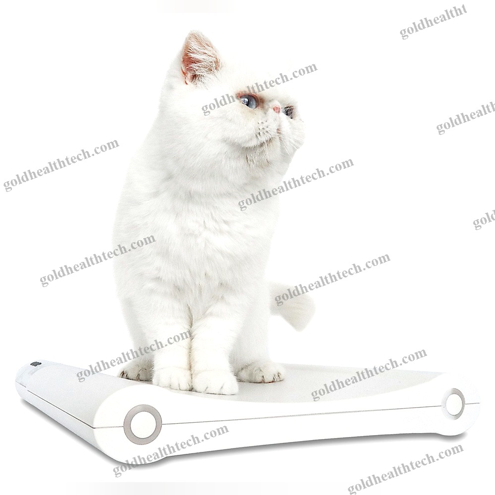 Digital Veterinary Weighing Scale