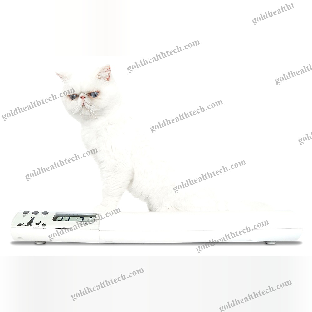 Digital Veterinary Weighing Scale