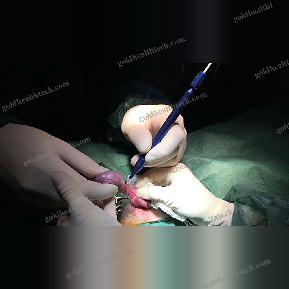 Veterinary Surgery Laser