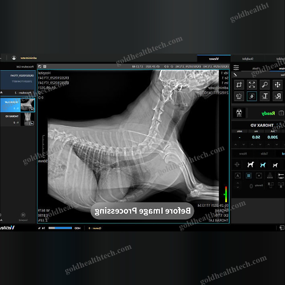 Veterinary Radiology Software