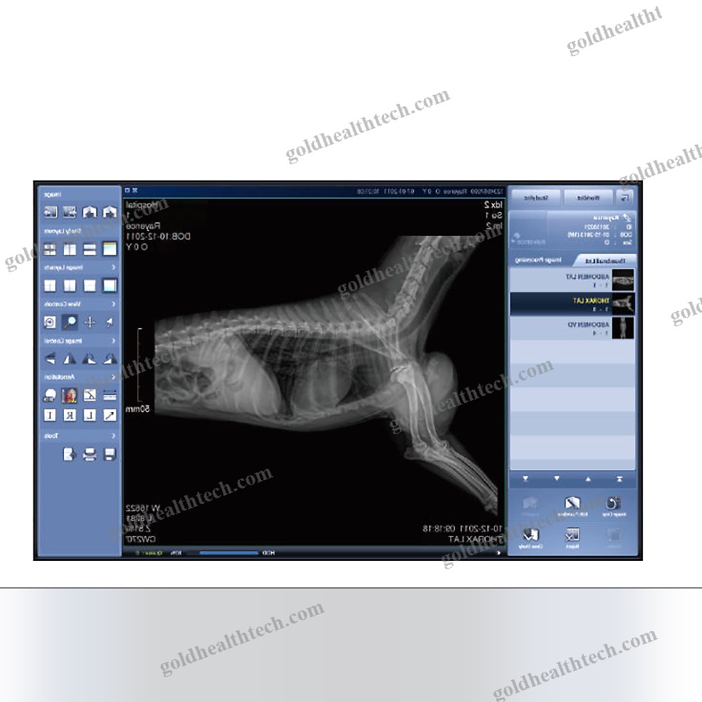 Medical Imaging Pacs