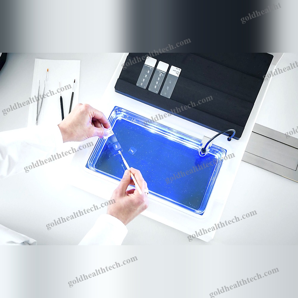 Histological Section Water Bath