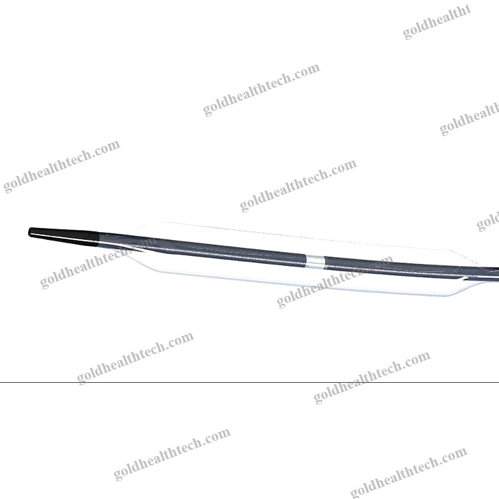 Pta Catheter