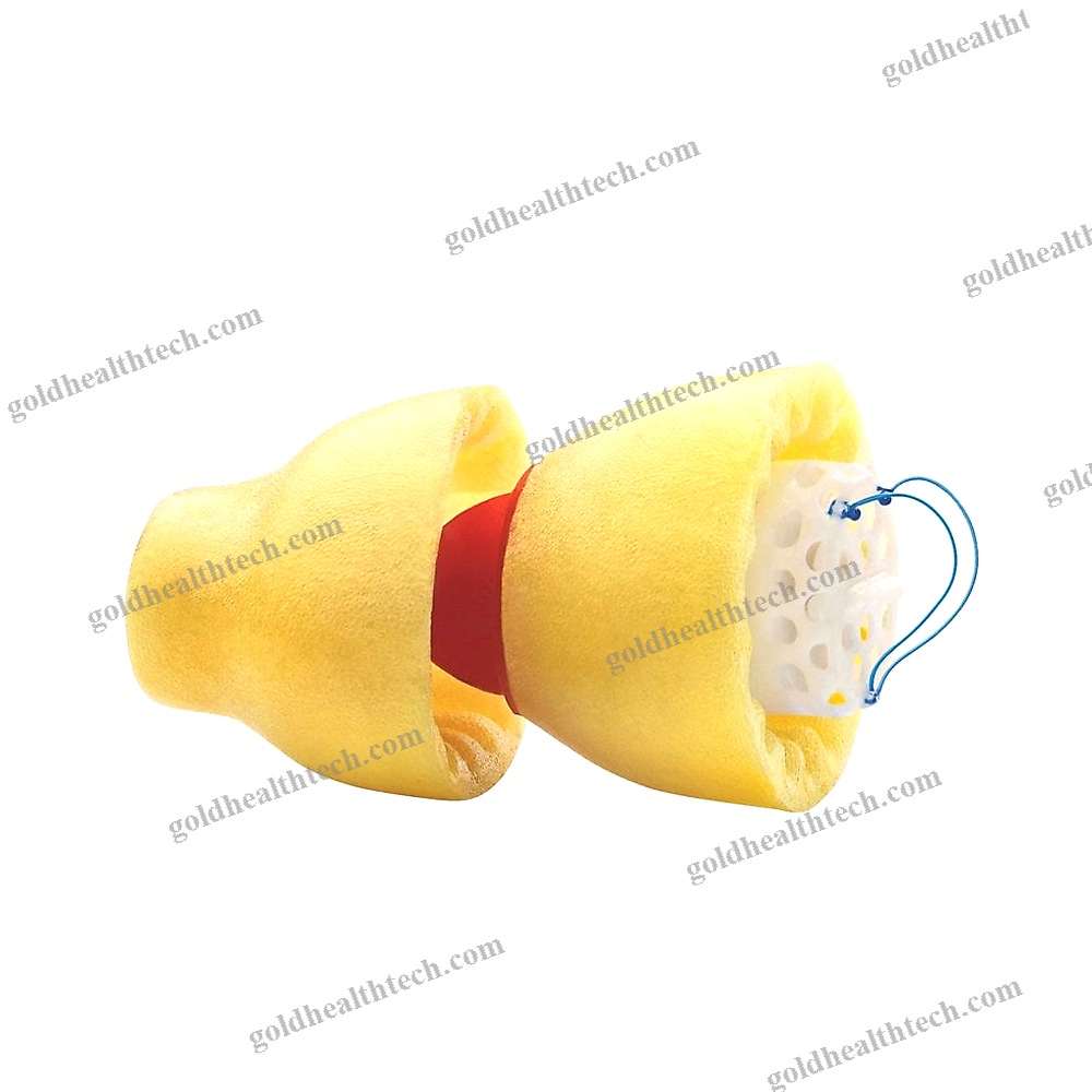 Iic Hearing Aid