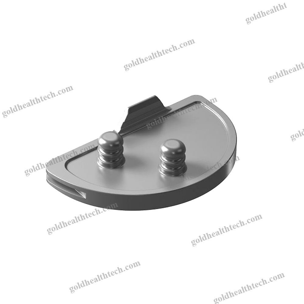 Unicompartmental Knee Prosthesis