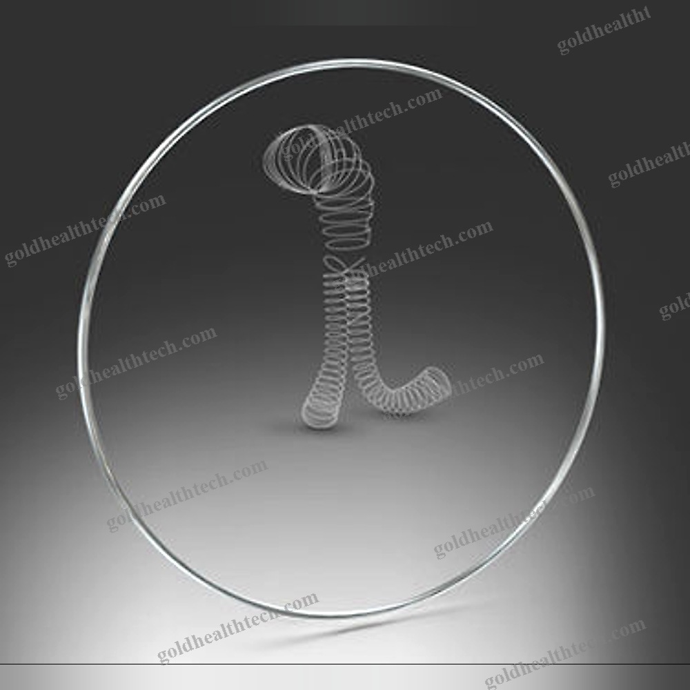 Abdominal Aorta Stent Graft