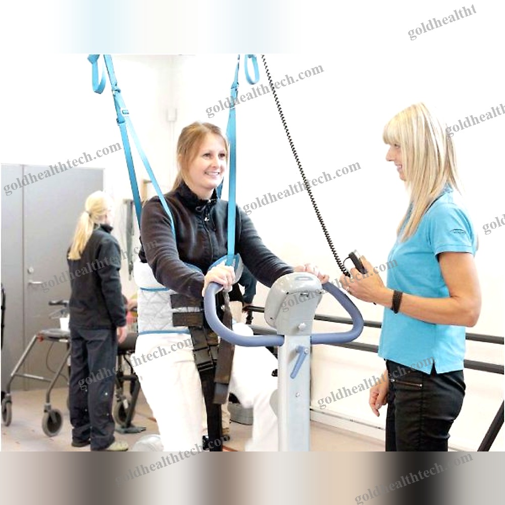 Electric Stander