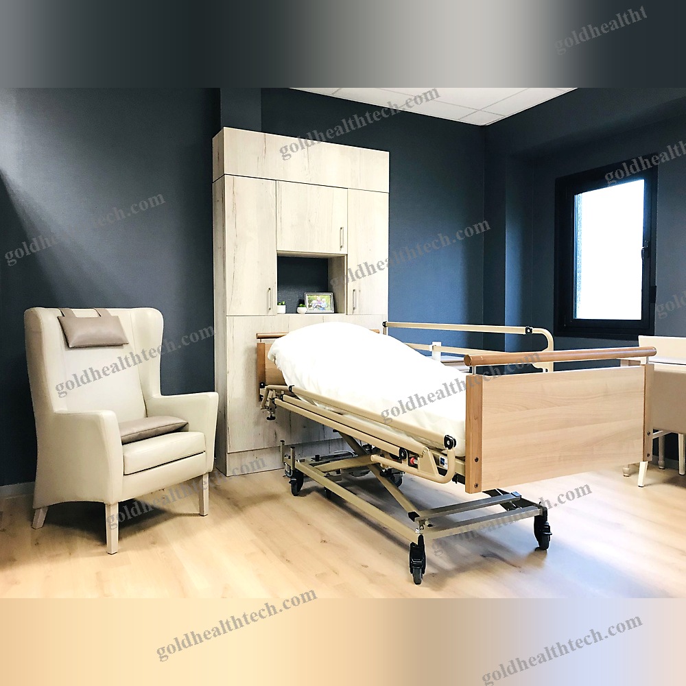 Electric Patient Lift