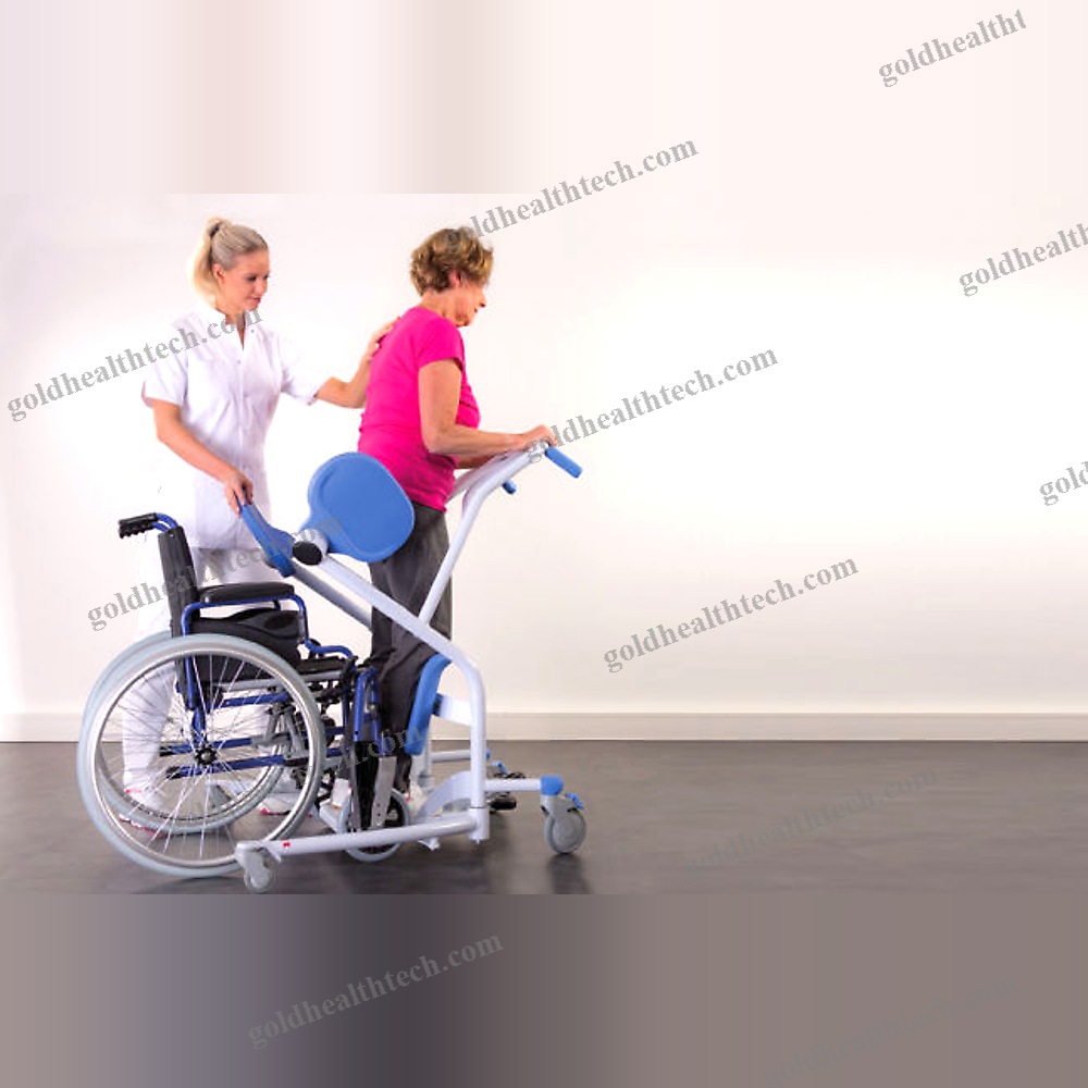 Electric Stander