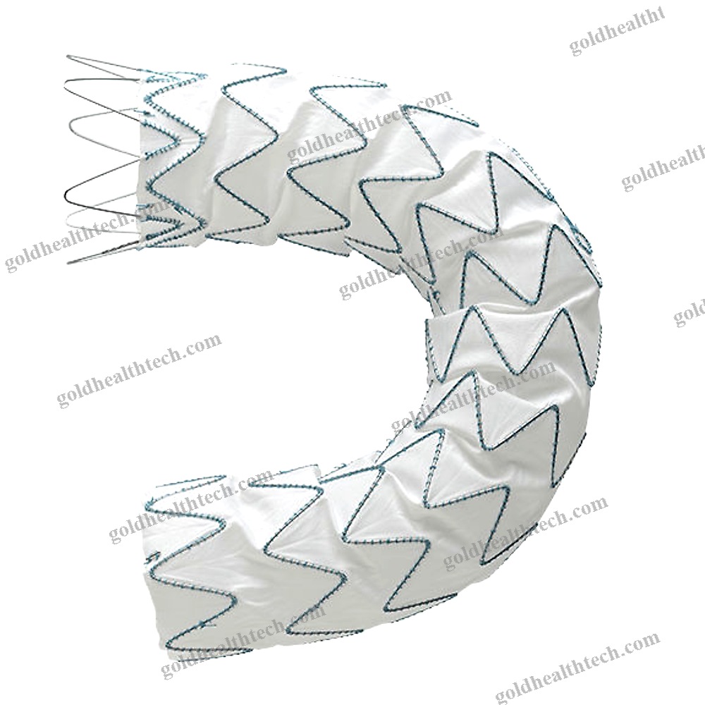 Ascending Thoracic Aorta Stent Graft