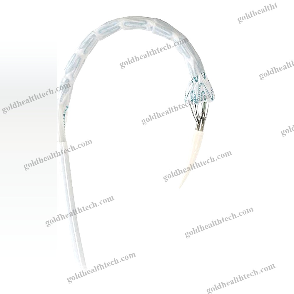 Ascending Thoracic Aorta Stent Graft