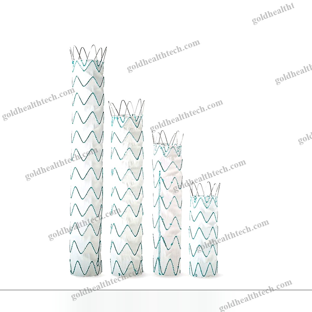 Ascending Thoracic Aorta Stent Graft