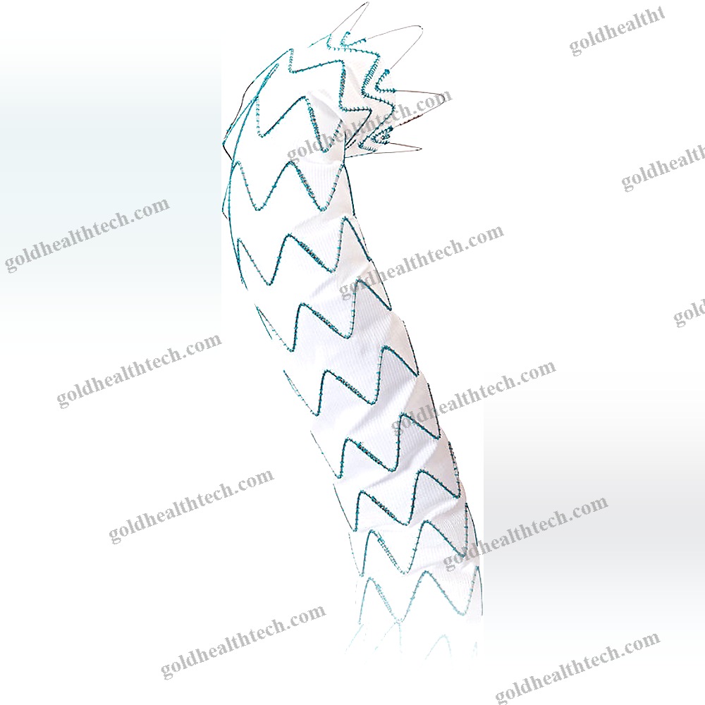 Ascending Thoracic Aorta Stent Graft