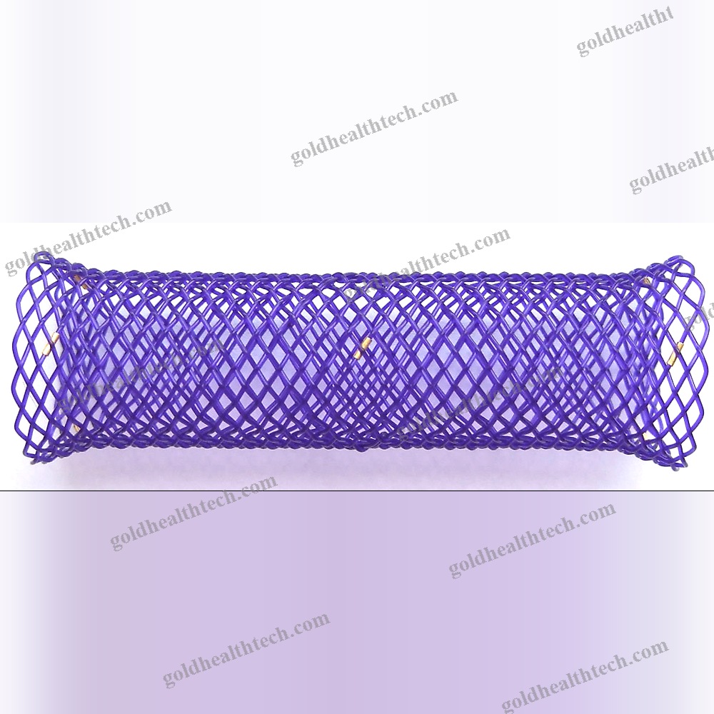 Esophageal Stent