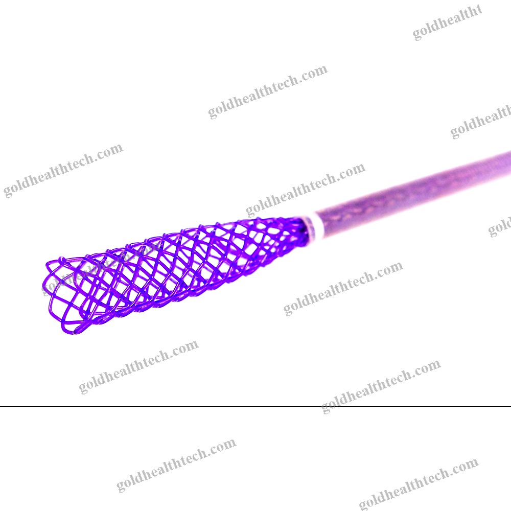 Tracheal Stent