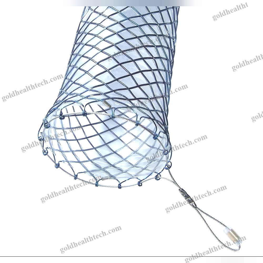 Esophageal Stent