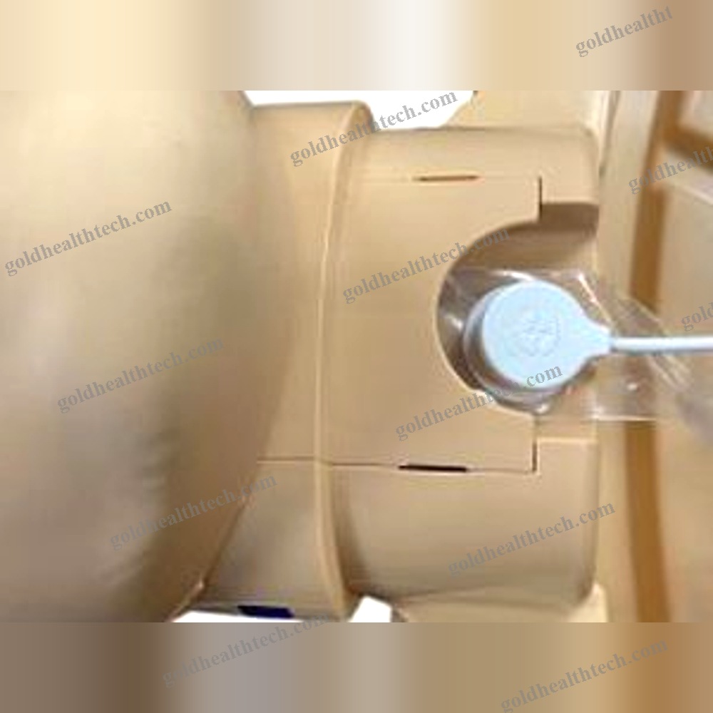 Adult Training Manikin