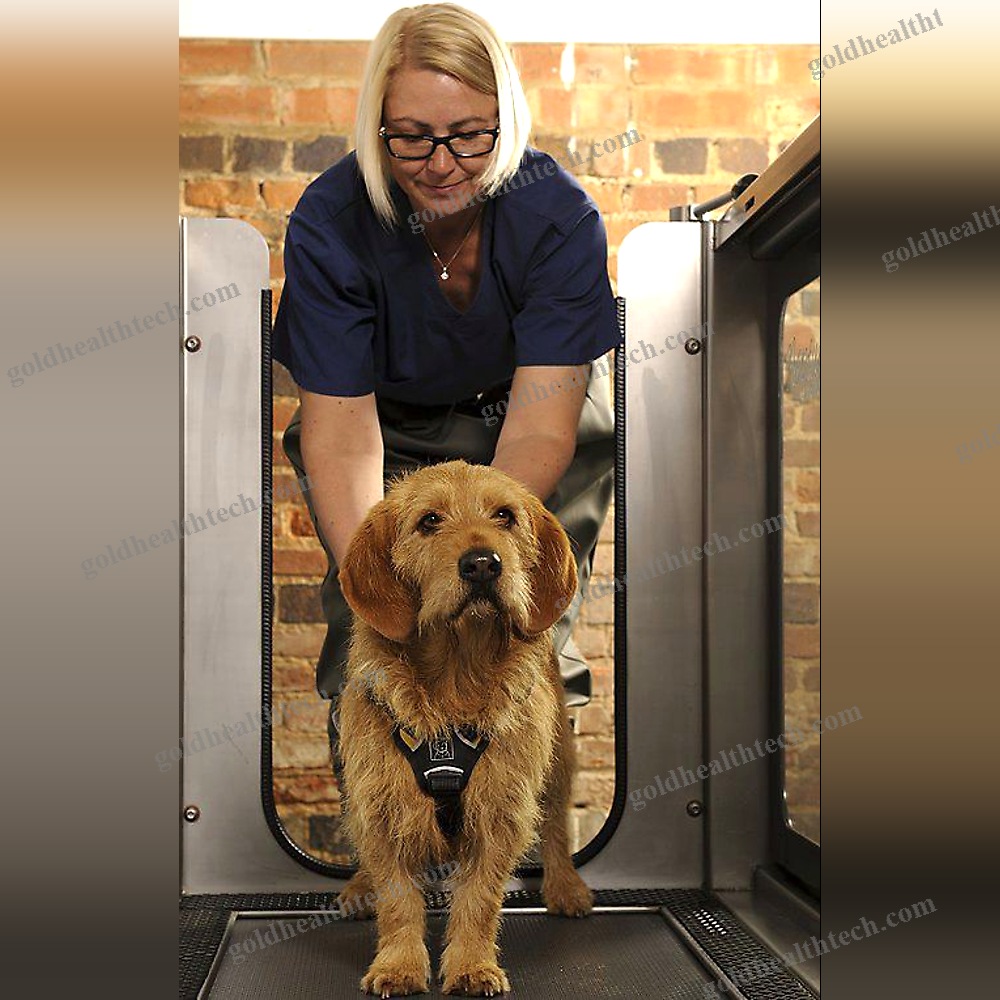 Underwater Veterinary Treadmill