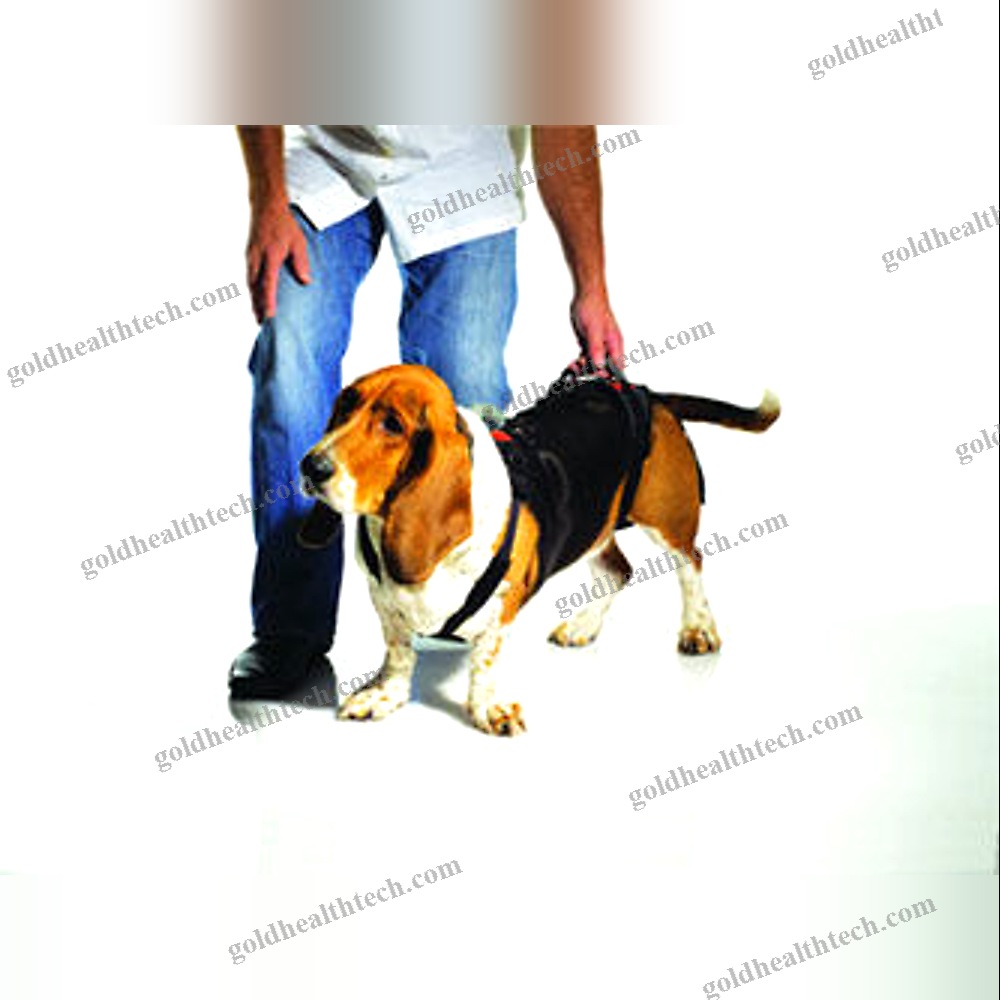 Rehabilitation Sling