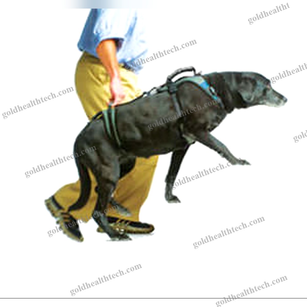 Rehabilitation Sling