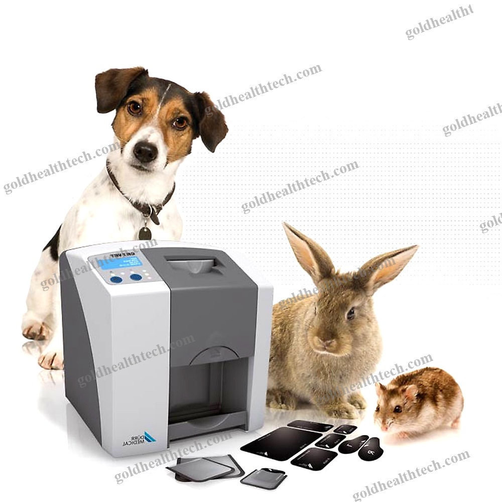 Dental Cr Scanner