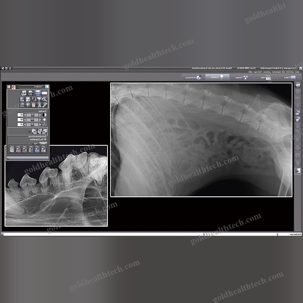 Medical Software